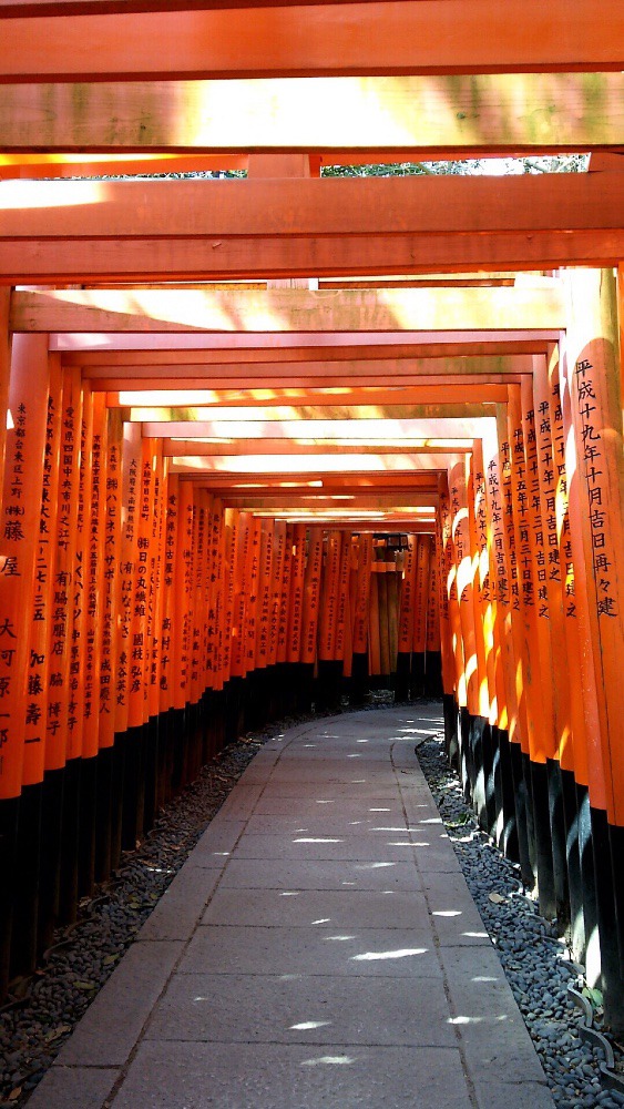 やっぱり京都に行きたい！ー伏見稲荷大社
